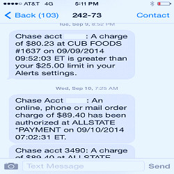 Banks and consumers increasingly use text alerts to fight fraud | MPR News